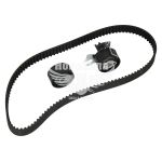 Набір ГРМ F. Mondeo з07-14р.в. (SKF) (2.0TDCi)