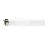 Philips Енергозберігаюча лампа G13 TL-D 36Вт 6500K T8