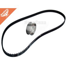 Набір ГРМ Audi A4 з94-01р.в. (Gates) (1.6)