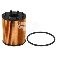 Фільтр масляний (Bosch) Opel Combo з04р.в. 1.3CDTI 16кл. (Purflux)