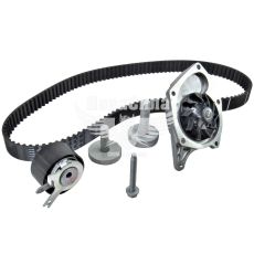 Набор ГРМ + помпа водяная Renault Kangoo з03р.в. (INA) (1.5dCi)