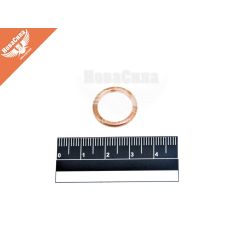 Шайба болта поддона Citroen Berlingo 2.0HDI с99г.в. (Ajusa)