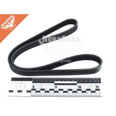 Ремінь поліклиновий 5PK962 (Dayco) генер. Fiat Ducato з94-02р.в. (1.9TD)