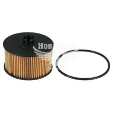 Фільтр масляний (Champion) Renault Kangoo з13р.в. 1.2TCe