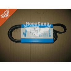 Ремінь поліклиновий 6PK1555 (Dayco) генер. F. Focus III з11р.в. (1.6)