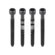 Болт кріплення форсунок VW T5 1.9TDI з03р.в. (DR Motor)