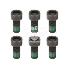 Набір болтів маховика Audi A3 1.9 TDI, 2.0 FSI з96-13р.в. (LUK)