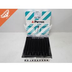 Болт (набір) ГБЦ Opel Vectra B 1.6-16кл. 1.8-16кл. з95-02р.в. (Payen)