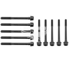 Болт (набір) ГБЦ Opel Combo 1.3CDTI з04р.в. (Payen)