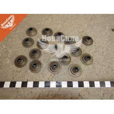 Сальник клапанів Landrover з00-05р.в. (Payen)