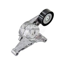 Ролик ремня поликл. VW Caddy III 1.9TDI с03-09г.в. натяжной в сб. (INA) (70х24мм.)