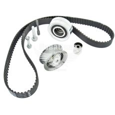 Набор ГРМ Skoda Octavia с96-10г.в. (INA) (1.9TDI, SDI)