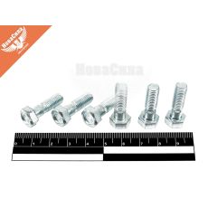 Болт корзини зчеплення D. Lanos з97р.в. (АвтоЗАЗ) (к-т.-6шт.)