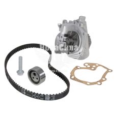 Набор ГРМ+помпа водяная Renault Kangoo с97г.в. (INA) (1.4, 1.6)