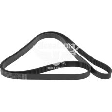 Ремінь поліклиновий 6PK1915 (Dayco) генер. F. Focus з99-04р.в. (1.6)