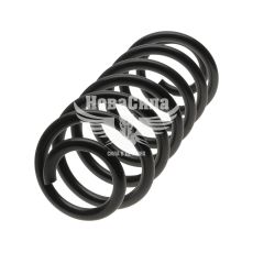 Пружина підвіски VW Passat з05-14р.в. зад. (Lesyofors)