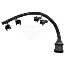 Джгут (пучок) форсунок D. Sens (Україна)