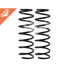 Пружина підвіски Chevrolet Aveo зад. (Ruxs)