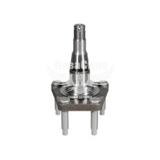 Цапфа ступиці D. Lanos зад. (АТ)