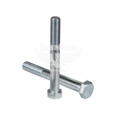 Болт (Техніка Монтажу) (М20х2,5х160мм.) під ключ 30