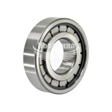 Підшипник роликовий з корот. циліндр. роликами 102309 (ГПЗ) (100х45х25)