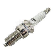 Свеча зажигания мото D8TC (Oregon) 1 кон. ключ 12