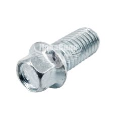 Болт салазки сидіння 2101-07 б/г (БелЗАН) (М8х1.25 L-16мм. під ключ)
