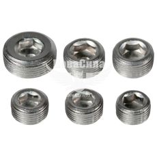 Заглушка ГБЦ 2101-07 алюм. (БелЗАН) (кт. 6шт.)