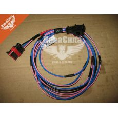 Джгут (пучок) підключення електробензонасосу 2112