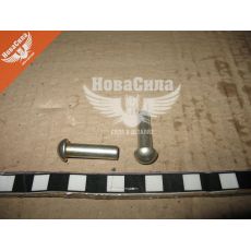 Заклепка ступиці диска зчеплення 5320-Камаз метал. (СНД)
