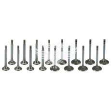 Клапан головки блока 53-Газ впуск.+выпуск. (ЧАМЗ)