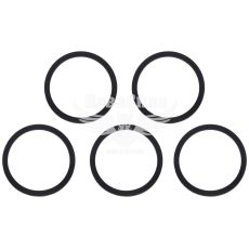 Прокладка бензонасоса 2110 1.6дв нов. взір (БРТИ) (2123, 2170)