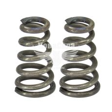 Пружина каталізатора 2110-15 (СНД)