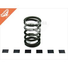 Пружина клапана 2108-15 8кл. зовн. (БелЗАН)