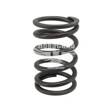 Пружина клапана 2101-07 зовн. (БелЗАН)