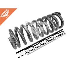 Пружина підвіски 2203-РАФ перед.