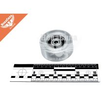 Ролик ремня полікл. Камаз ЄВРО-2, 3 направляючий підс. (ДК)