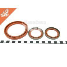 Сальники колінвала 2105 (LSA)