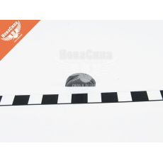 Шпонка колінвала 2101-07 (АвтоВАЗ копія)