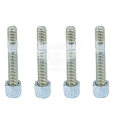 Шпилька карбюратора (набор) 2101-07 стандарт (БелЗАН) (5х28мм.)