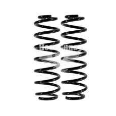 Пружина підвіски Skoda Octavia з04-13р.в. зад. (Ruxs)