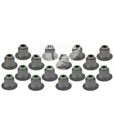 Сальник клапанов F. Mondeo 1.6Т с10г.в. (Victor Reinz) (кт.-16шт.)