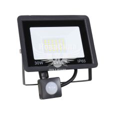 Прожектор світлодіодний Delux 30Вт 230V 6500K 2700Lm з датчиком руху