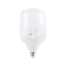 Светодиодная лампа E27 Lezard 30Вт 6400K T100