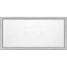 Світлодіодна панель LEZARD 20Вт (595x295x14mm) 6400K 1500Lm