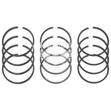 Кольца поршневые 24 2410-Газ 92.0 широкие (Prima) 53-Газ