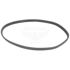 Ремінь поліклиновий 4PK736 (Dayco) ГУР F. Transit з00-06р.в. (2.0D)