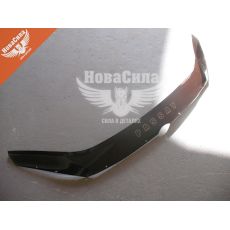 Мухобойка VW Passat B7 з10р.в. (Vip Tuning)