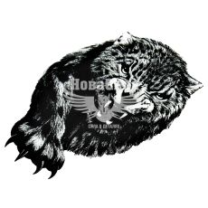 Наклейка Барс 20х13,5