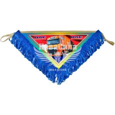 Вымпел триугольный DAF (Україна) бол.